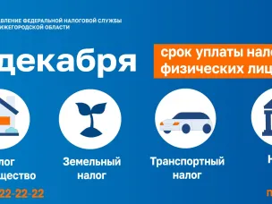 Информация по уплате имущественных налогов